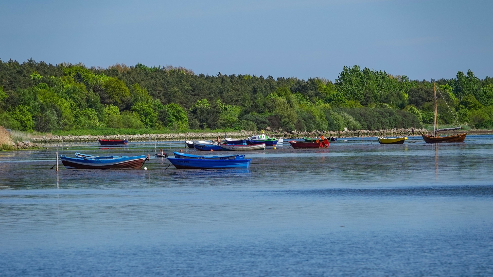 Lato w plenerze - zdjęcie 18