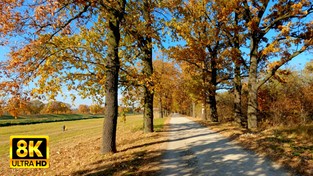 10.11.2021 05:54 Zabieramy Was na spacer przez jesienną Polskę. Oto najpiękniejsze krajobrazy ostatnich tygodni