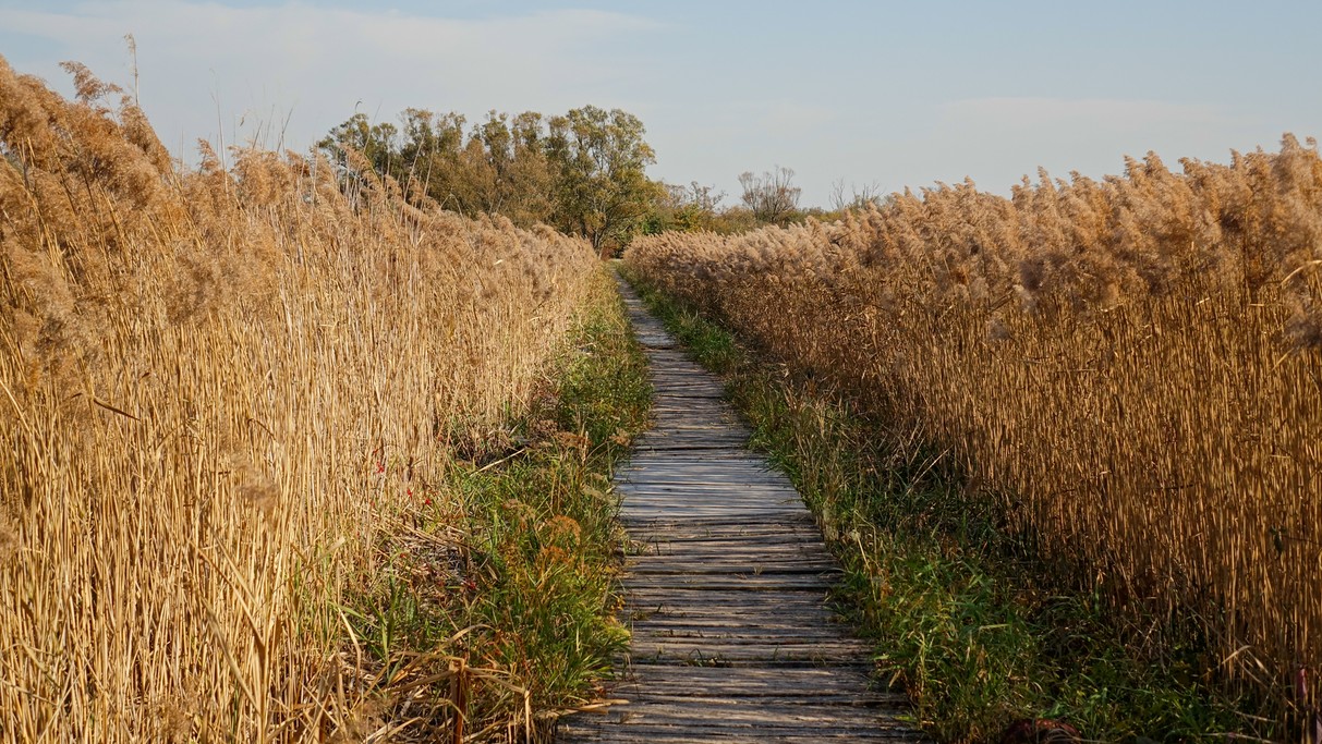 Jesienne klimaty - zdjęcie 22