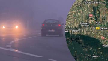 Karambol w mgle na S19. Jest wielu rannych