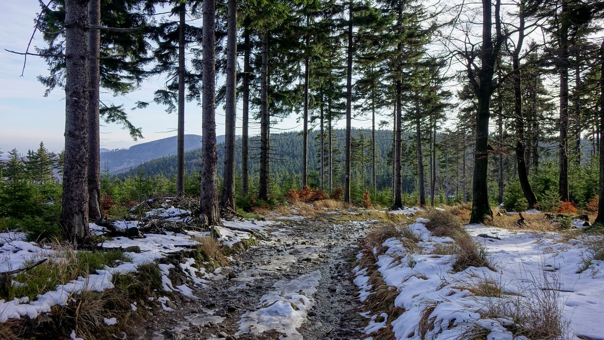 Minione zimy w Polsce - zdjęcie 14