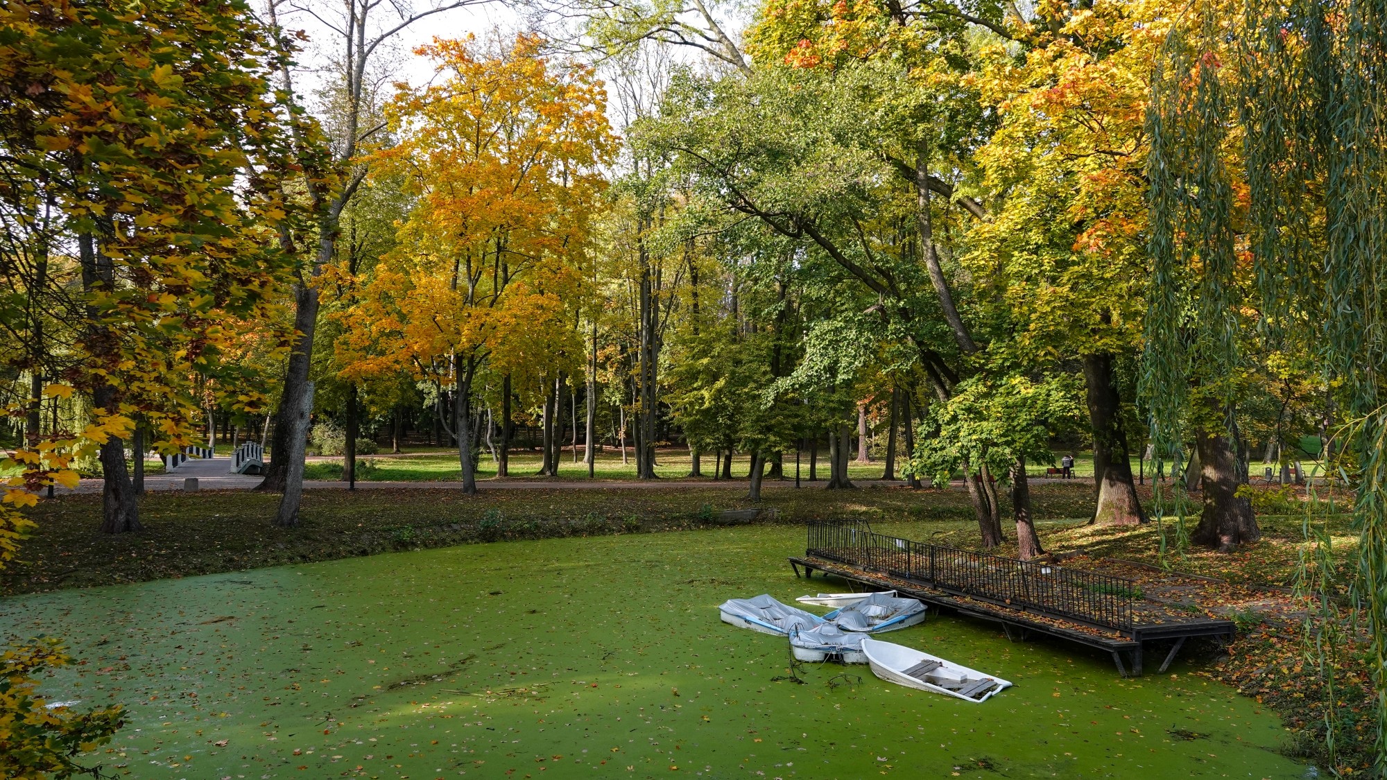 Wszystkie barwy jesieni - zdjęcie 51