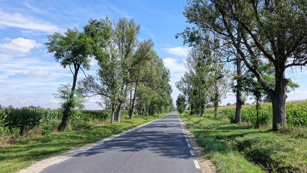 Lipiec w obiektywie - zdjęcie 10