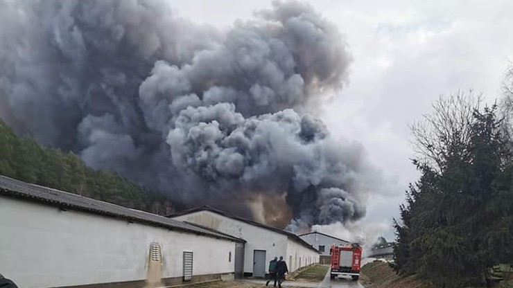 Pożar kurnika o powierzchni kilku tysięcy metrów. Z ogniem walczyli strażacy z dwóch powiatów