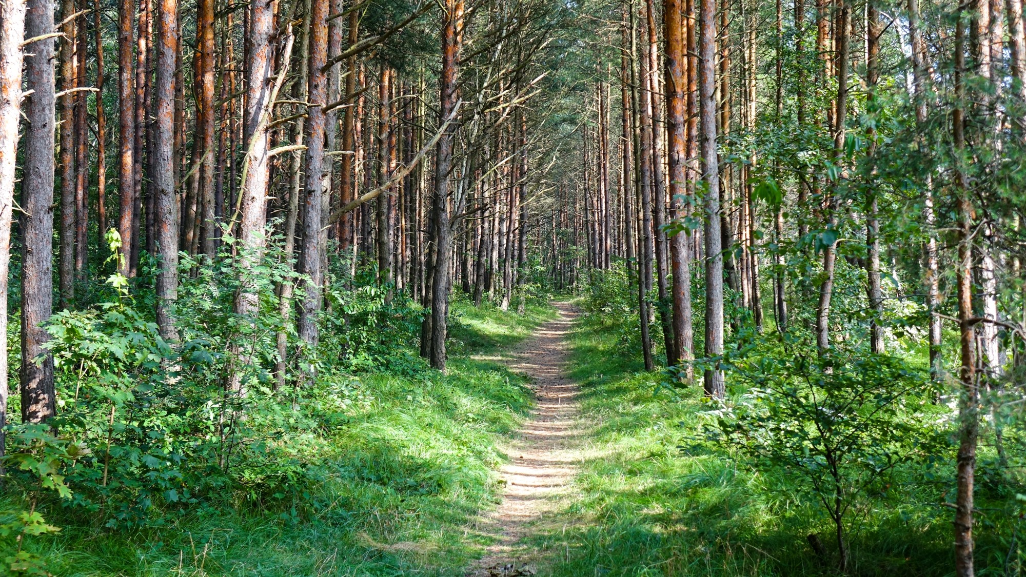 Sierpień w obiektywie - zdjęcie 49