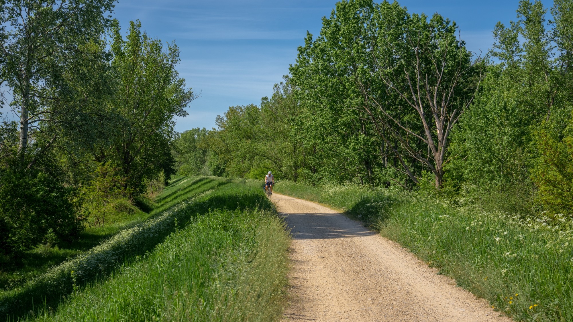 Wiosenna opowieść - zdjęcie 45