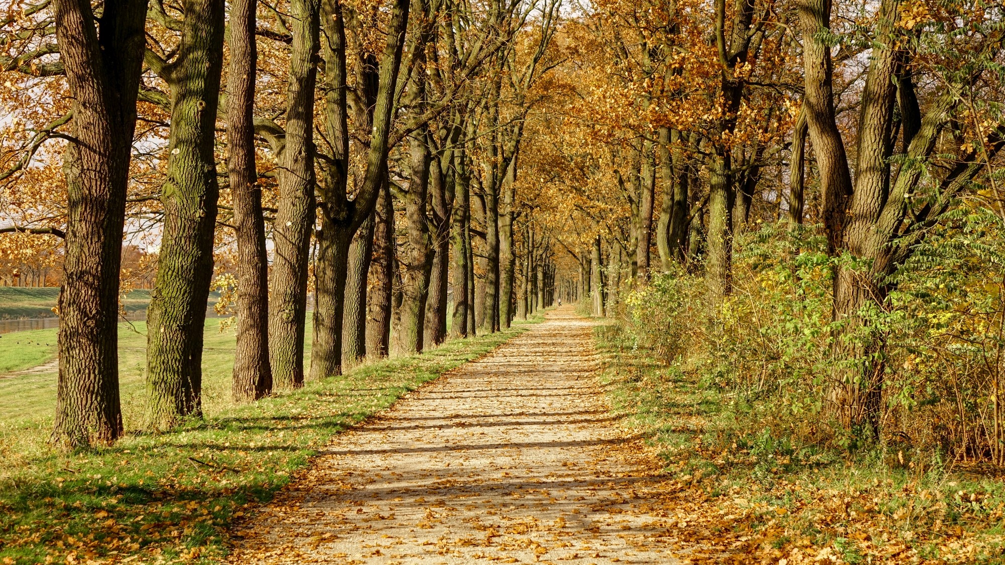 Urocze zakątki w lasach - zdjęcie 50