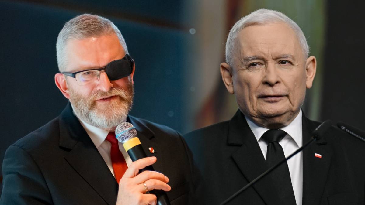 "PiS jest Braunem". Rzecznik rządu o stawce kolejnych wyborów parlamentarnych