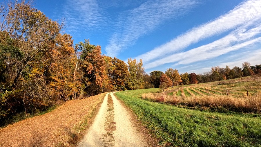 Wiedziałeś, że jesień ma aż cztery odmiany? Właśnie rozpoczyna się jedna z nich. Która?