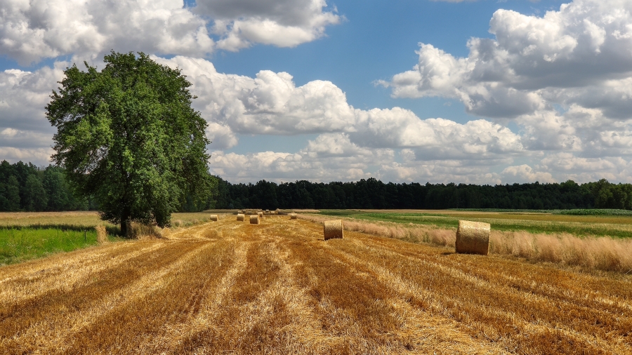 Fot. TwojaPogoda.pl