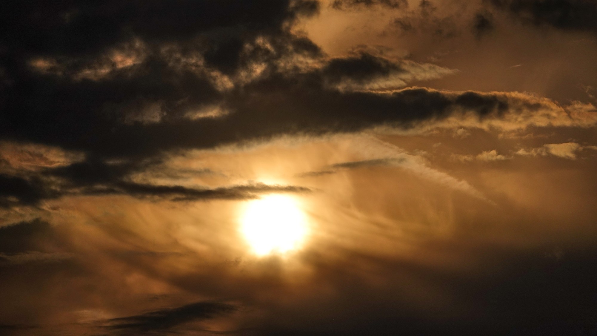 Lato w plenerze - zdjęcie 29