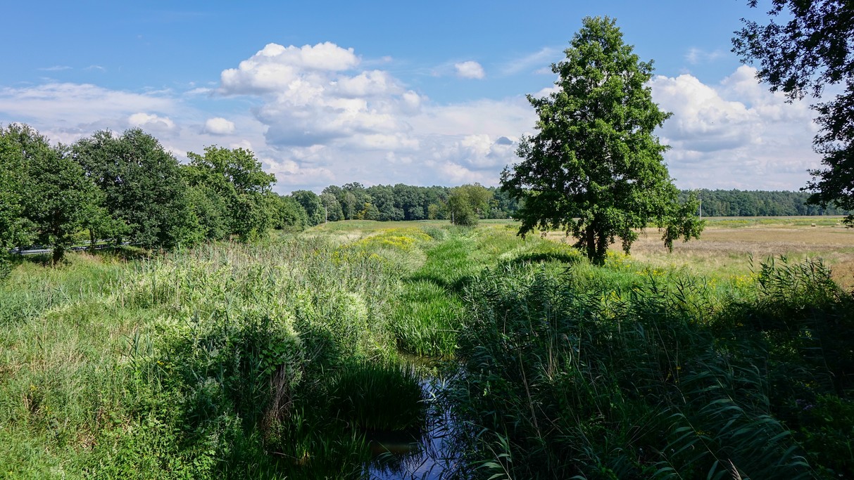Sierpień w obiektywie - zdjęcie 14