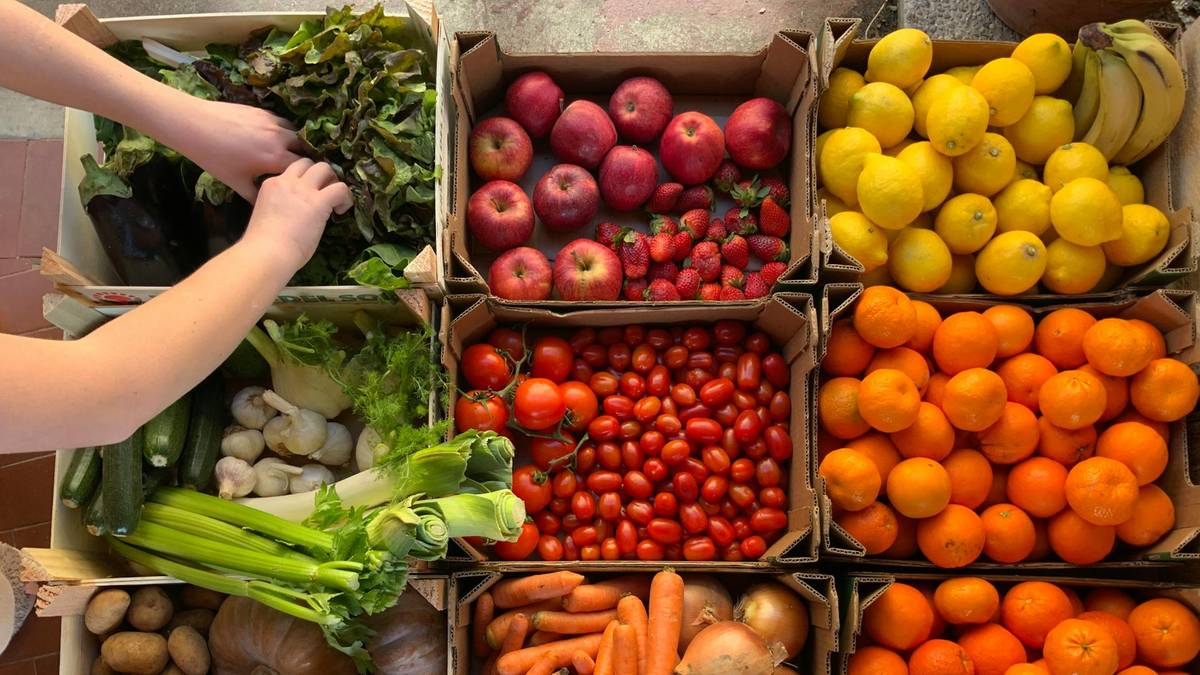 Drewniane skrzynki wypełnione różnorodnymi świeżymi owocami i warzywami, takimi jak jabłka, pomidorki, cytryny, pomarańcze, marchew i ziemniaki.