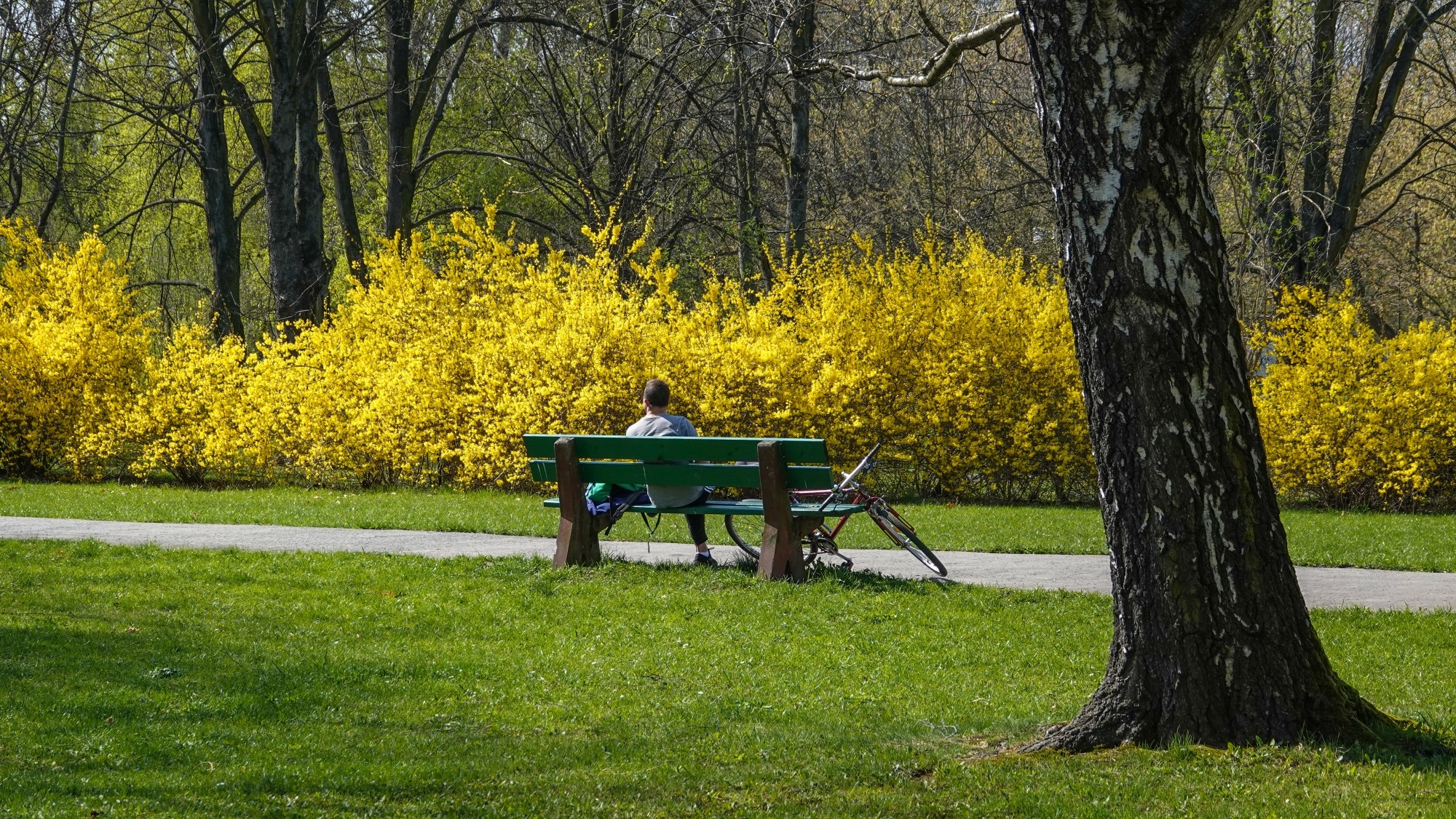 W maju jak w raju - zdjęcie 48