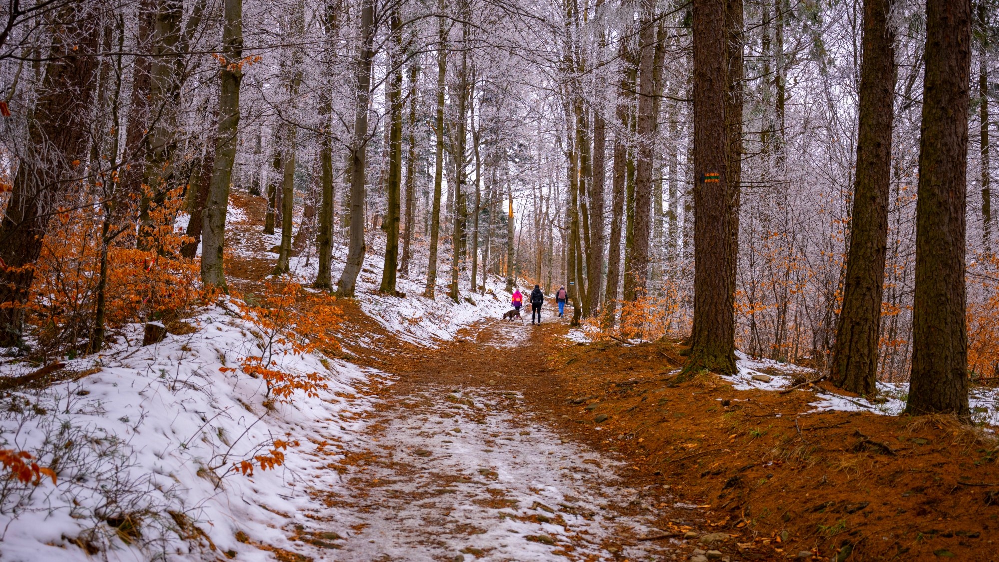 Zima w górach - zdjęcie 26