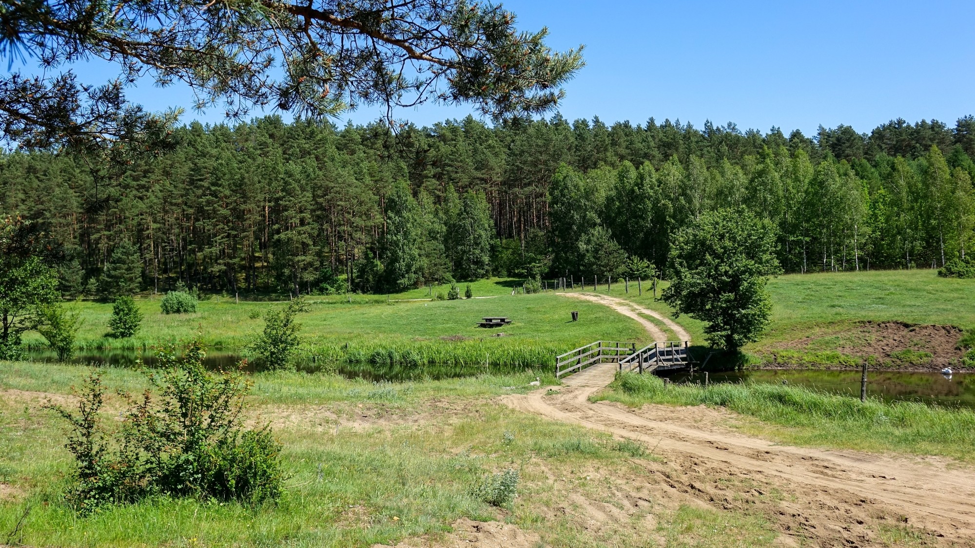 Polskie krajobrazy w 2019 roku - zdjęcie 17