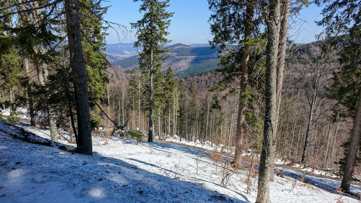 Marzec w obiektywie - zdjęcie 36