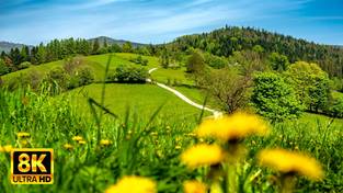 21.06.2023 00:00 Początek lata