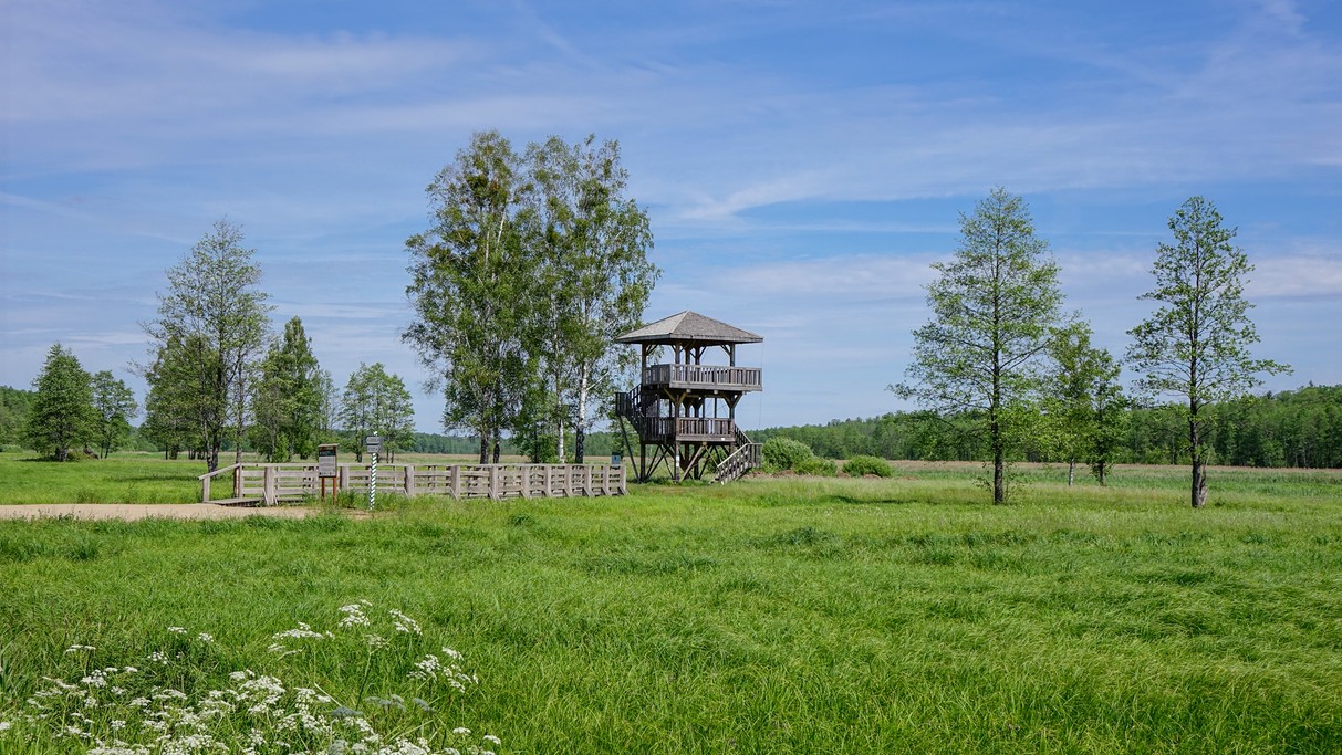 Czerwiec w obiektywie - zdjęcie 40