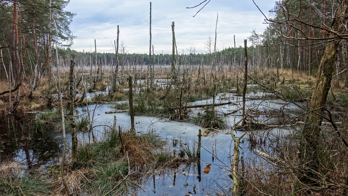 Marzec w obiektywie - zdjęcie 26
