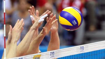 Gyorgy Grozer wraca na Węgry. Będzie trenerem 7. drużyny siatkarskiej Extraligi
