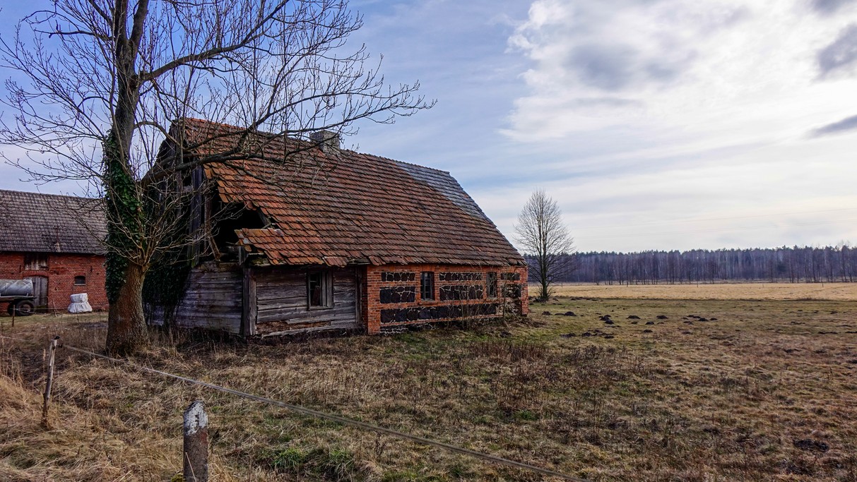 Marzec w obiektywie - zdjęcie 62