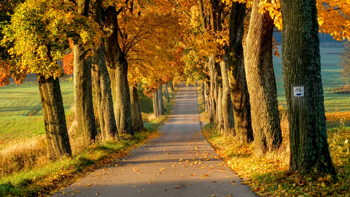 Październik w obiektywie - zdjęcie 42