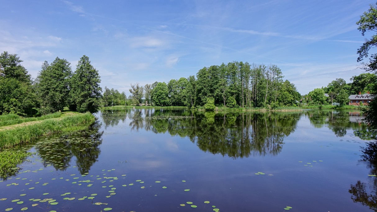 Białowieski Park Narodowy - zdjęcie 4