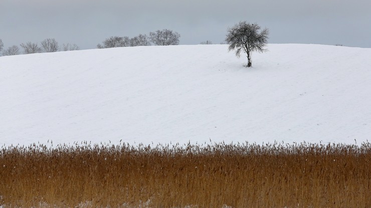 Opady śniegu w Polsce. Zima na waszych zdjęciach