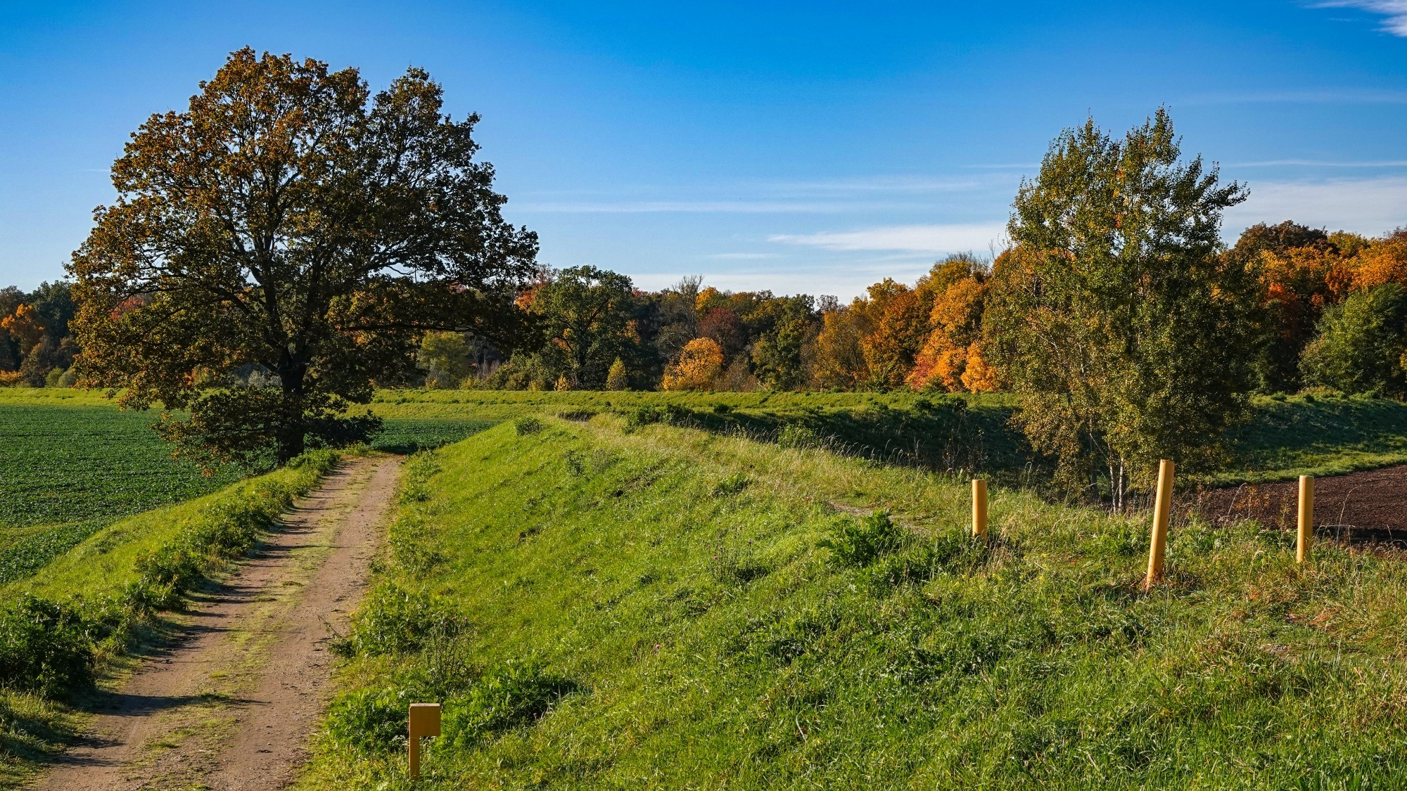 Wszystkie barwy jesieni - zdjęcie 30