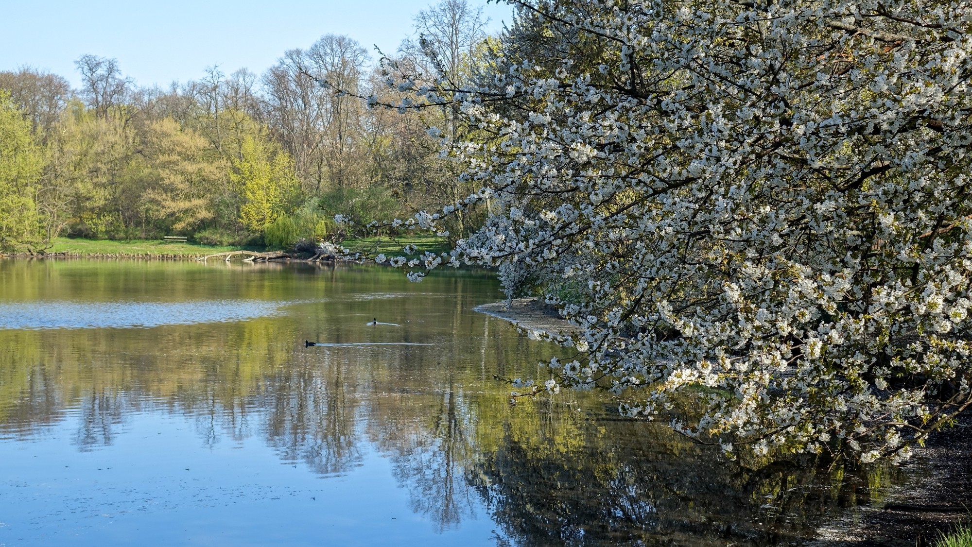 Kwiecień w obiektywie - zdjęcie 30