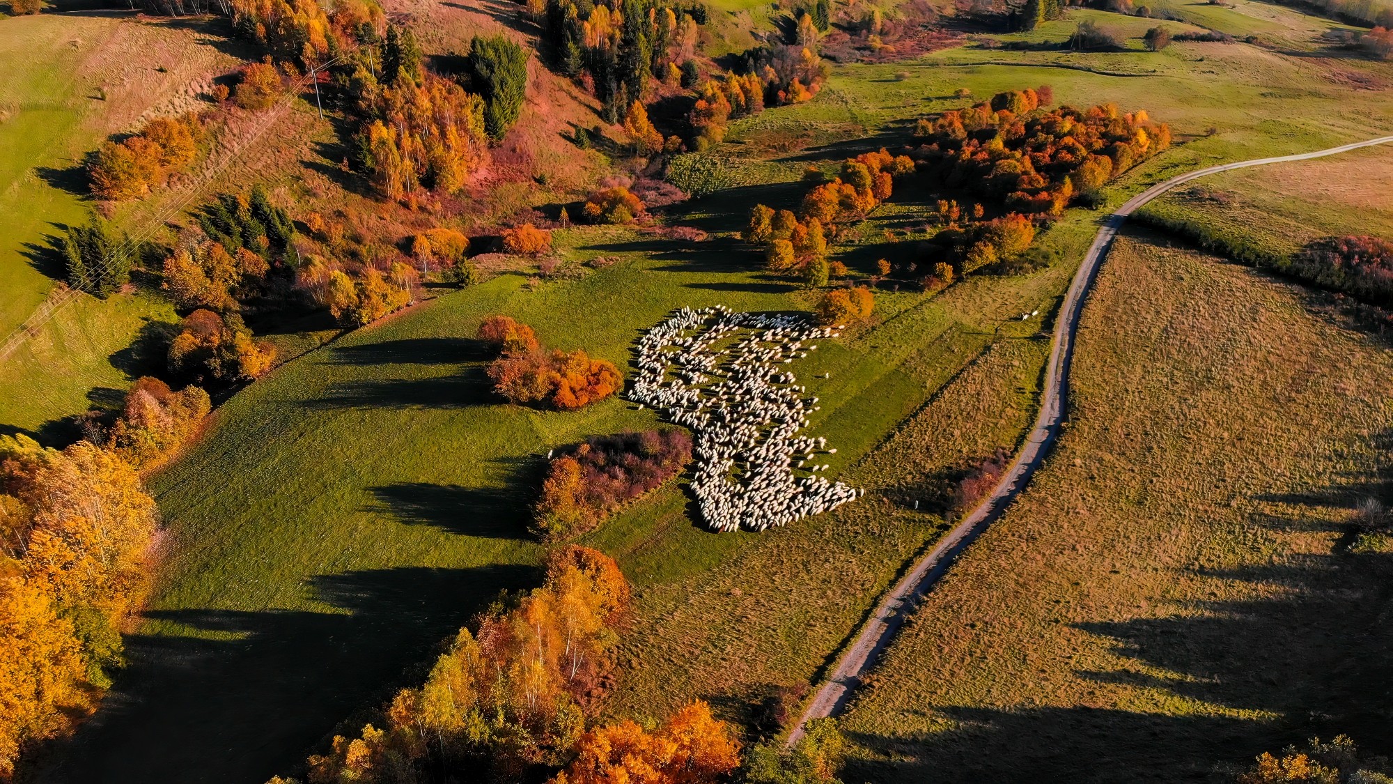 Polska jesienią - zdjęcie 16