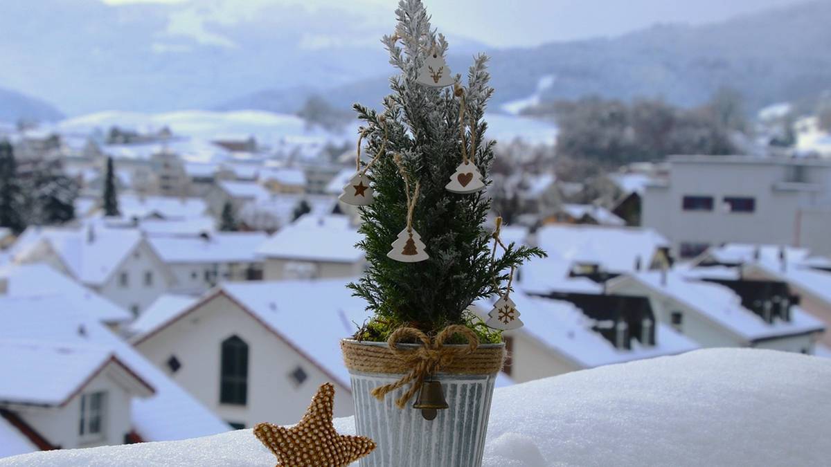 Mała, udekorowana choinka w doniczce na tle zaśnieżonego krajobrazu z domami.