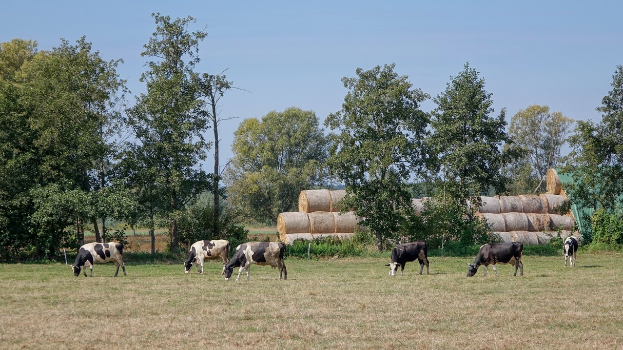 Wrzesień w obiektywie - zdjęcie 32