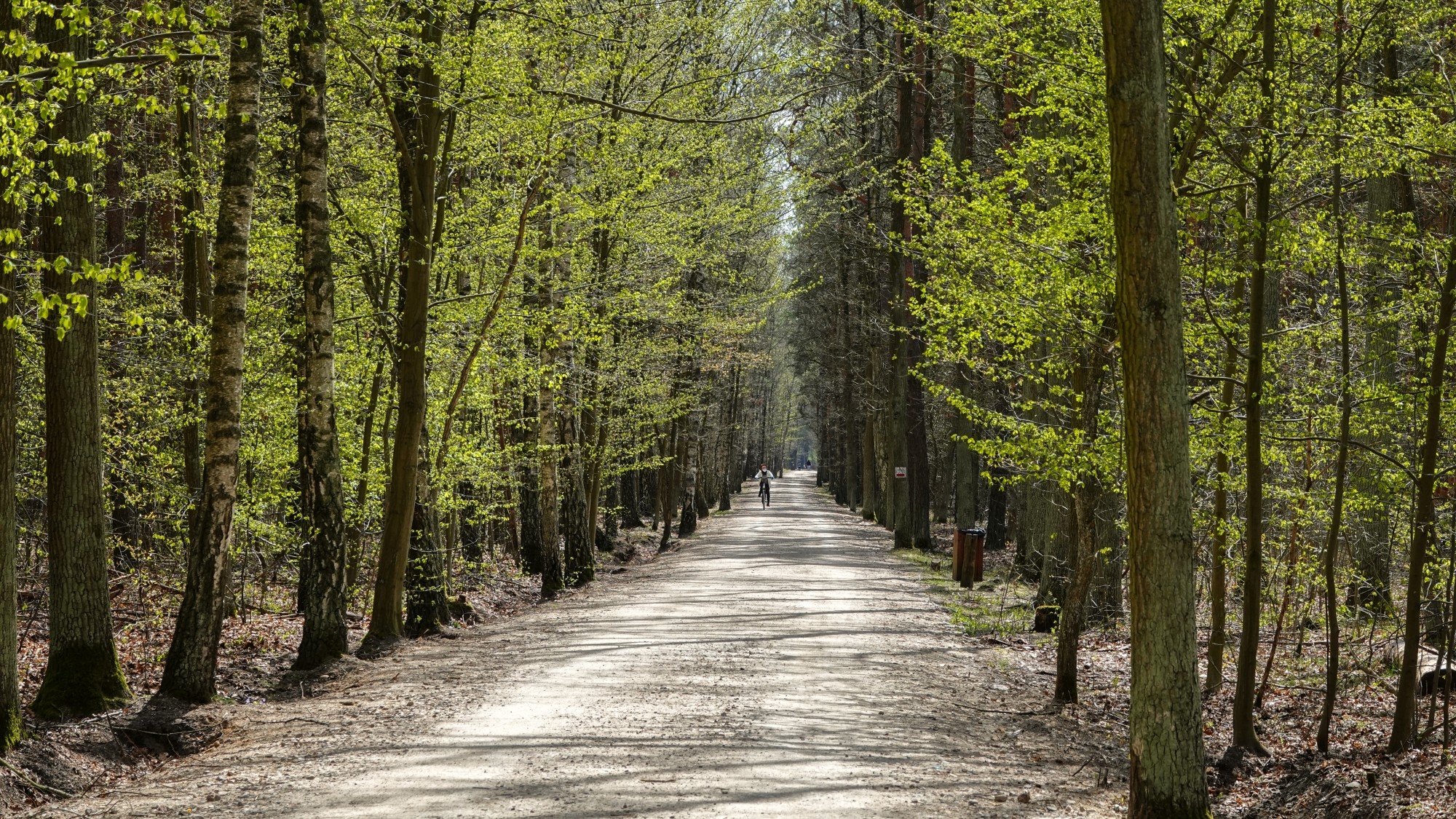 Całe piękno późnej wiosny - zdjęcie 28