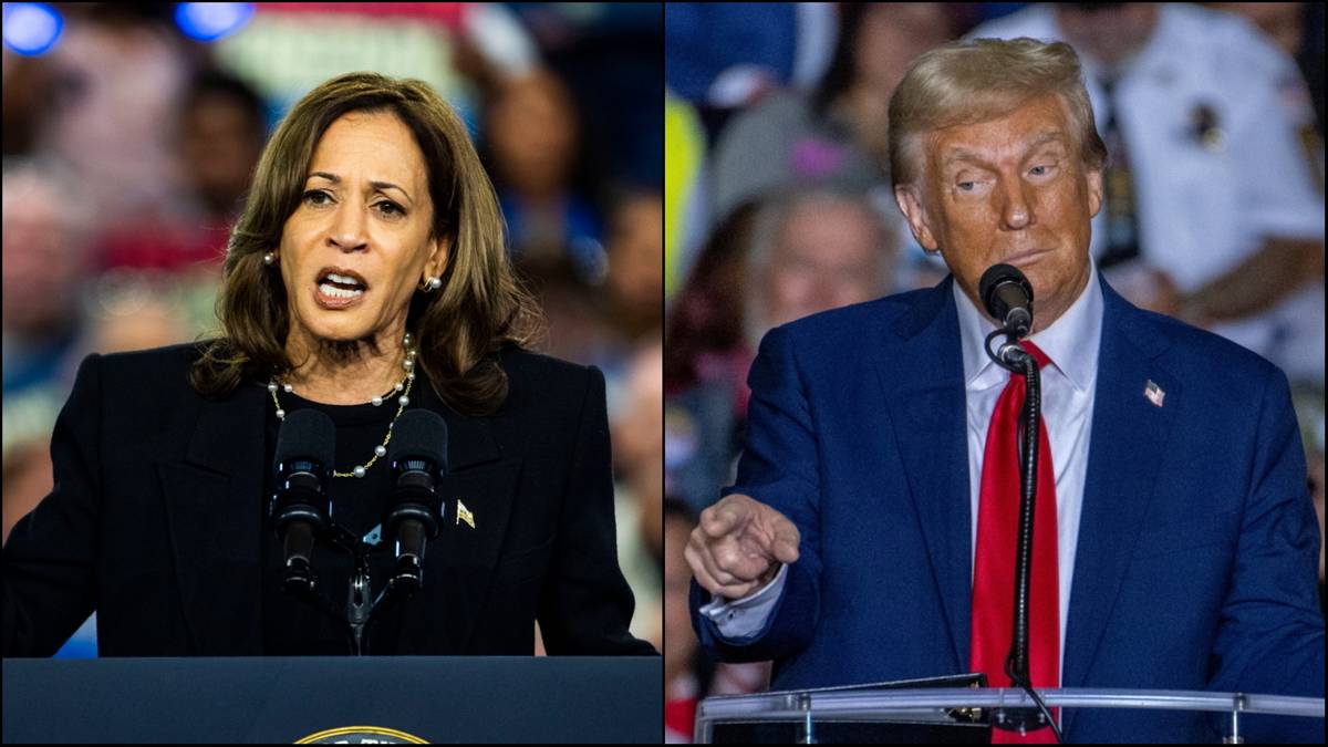 Donald Trump czy Kamala Harris? Tak zagłosują mieszkańcy kluczowego stanu