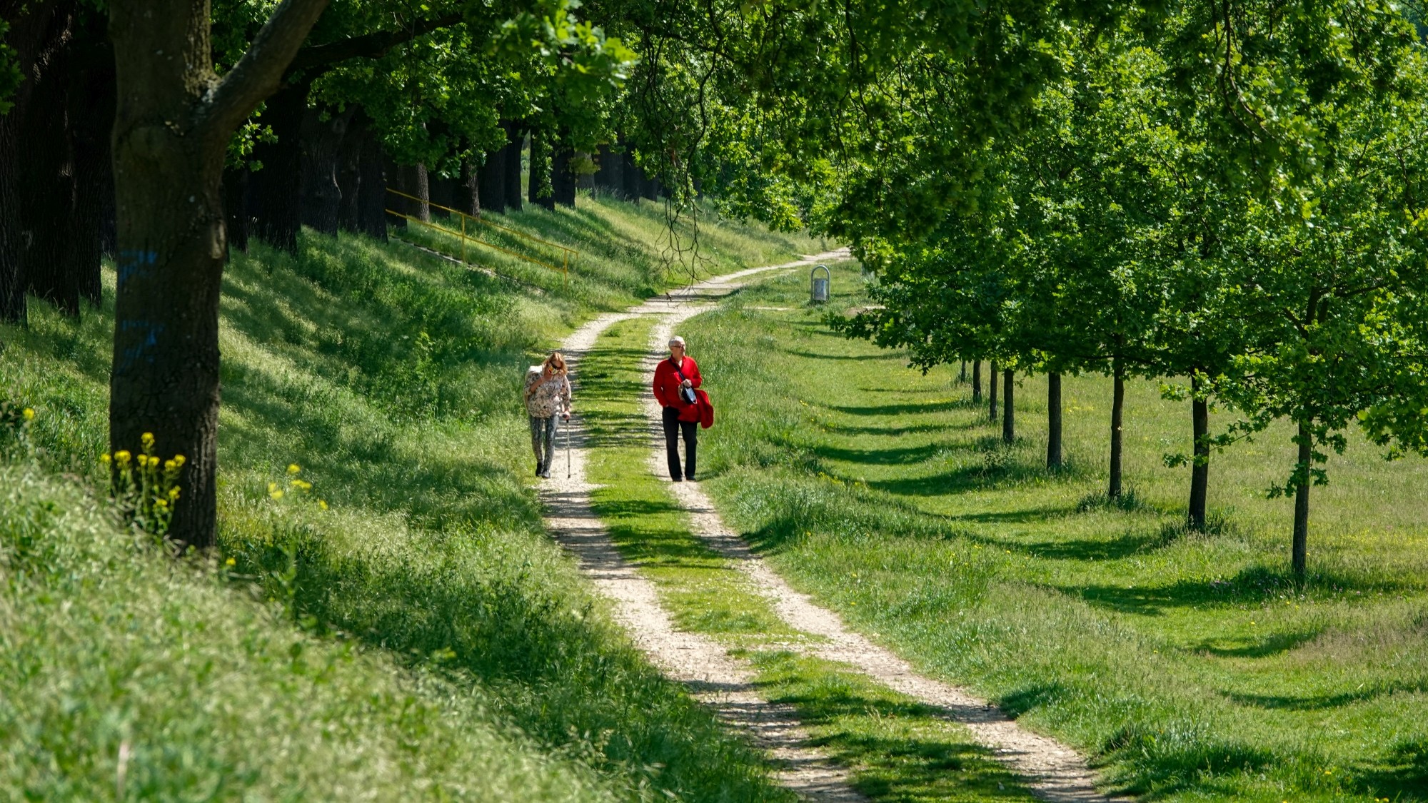 Uroki zielonej pory roku - zdjęcie 6