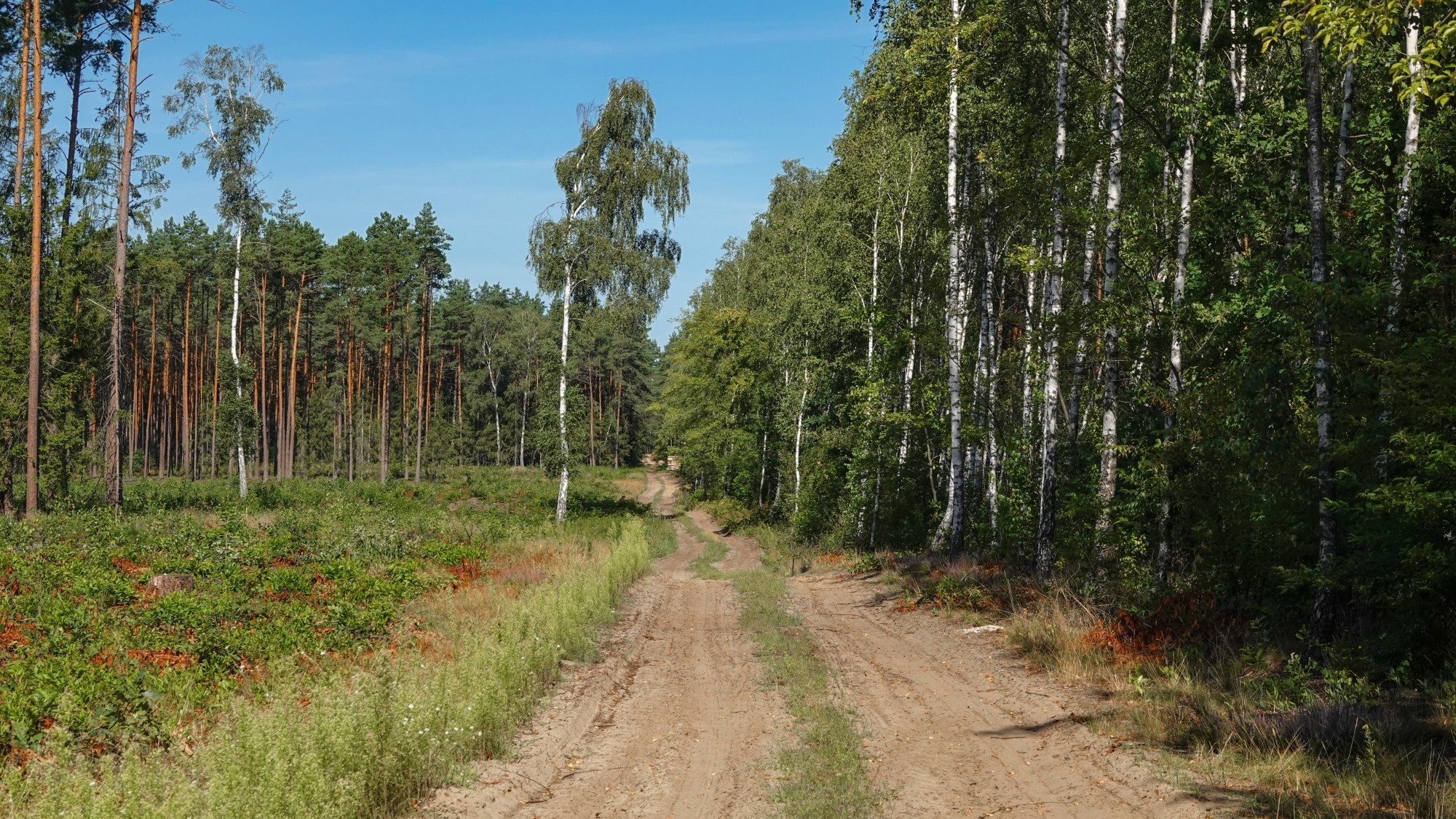 Na pożegnanie lata - zdjęcie 31