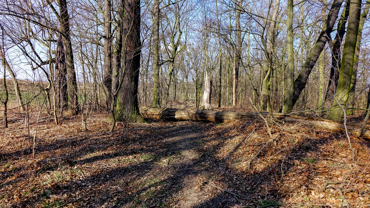 Marzec w obiektywie - zdjęcie 45