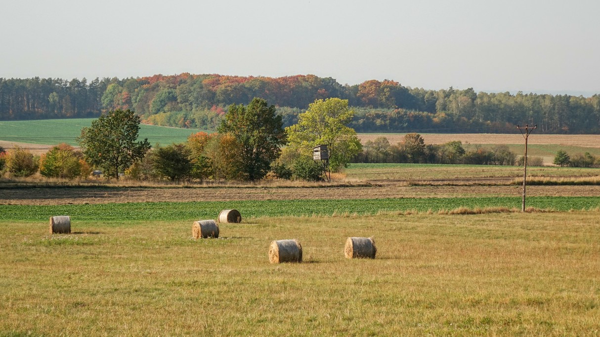 Jesienne krajobrazy za miastem - zdjęcie 46