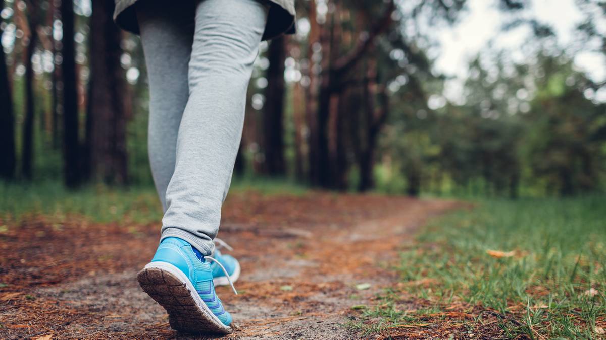 Wiosna to czas, kiedy zwierzęta leśne mogą być bardziej nieprzewidywalne