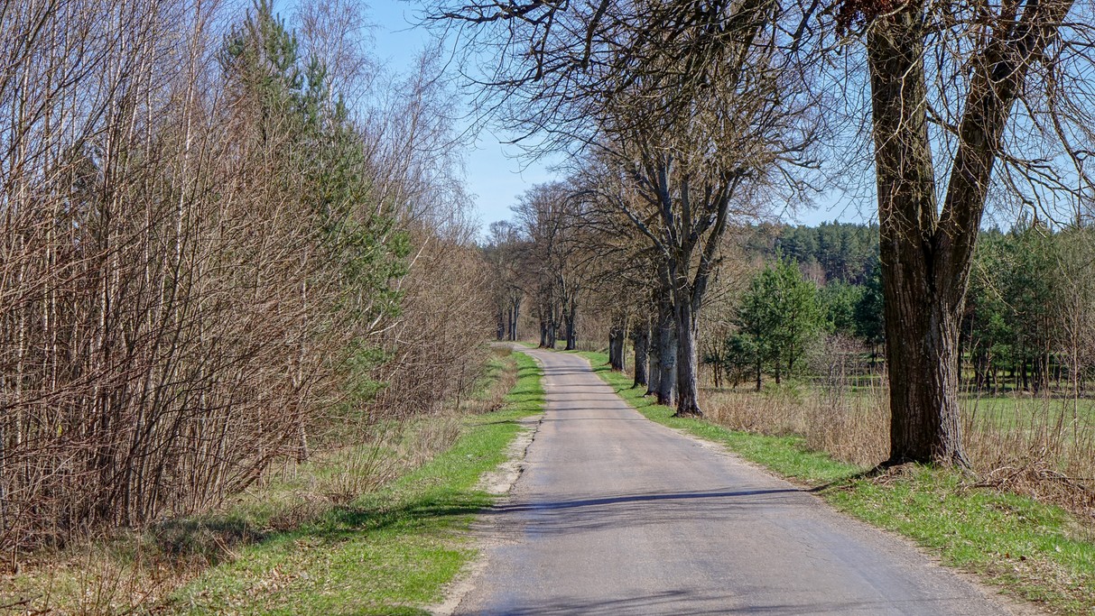 Powiewy wiosny - zdjęcie 10