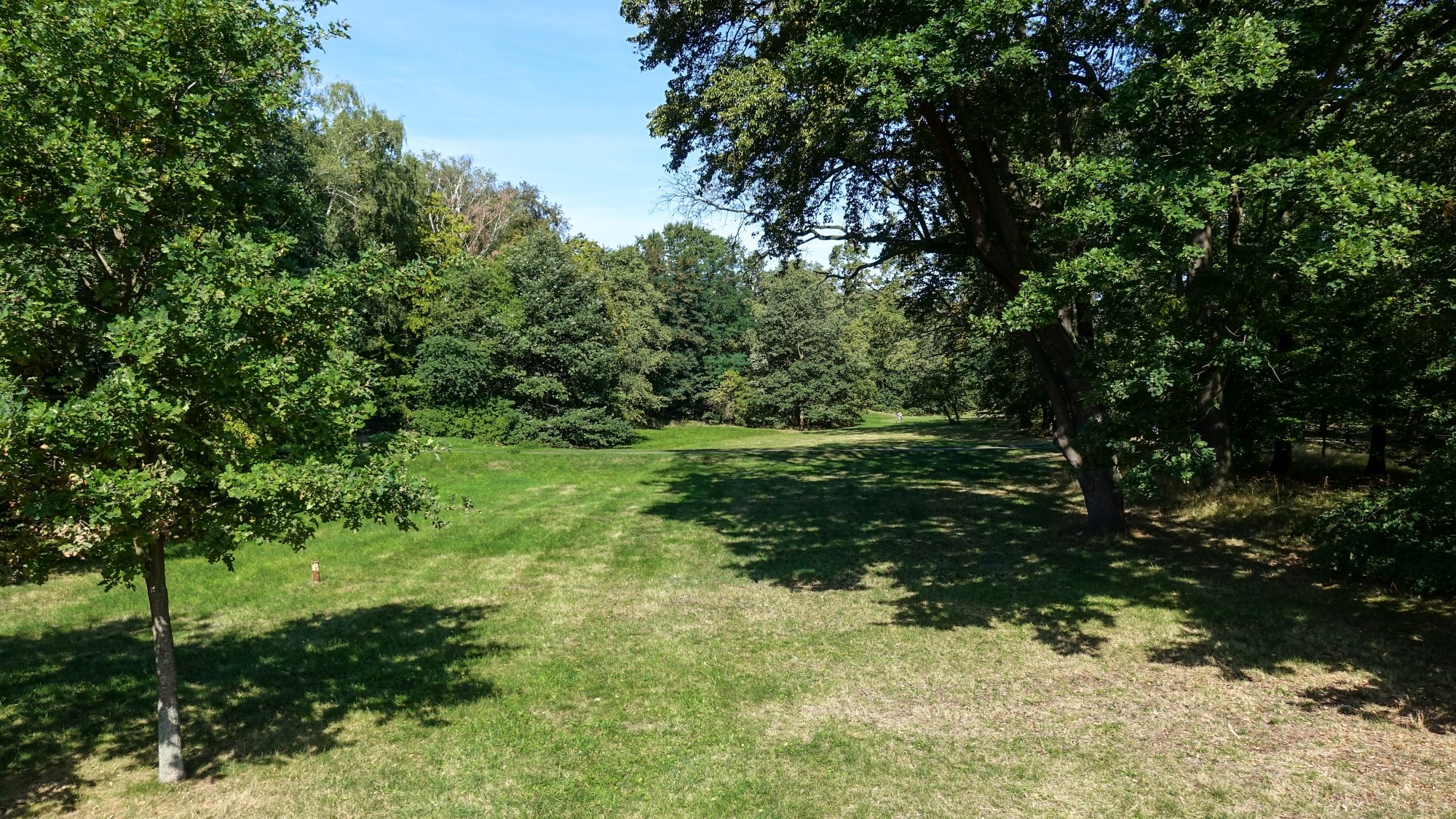 Późne lato na łonie natury - zdjęcie 37