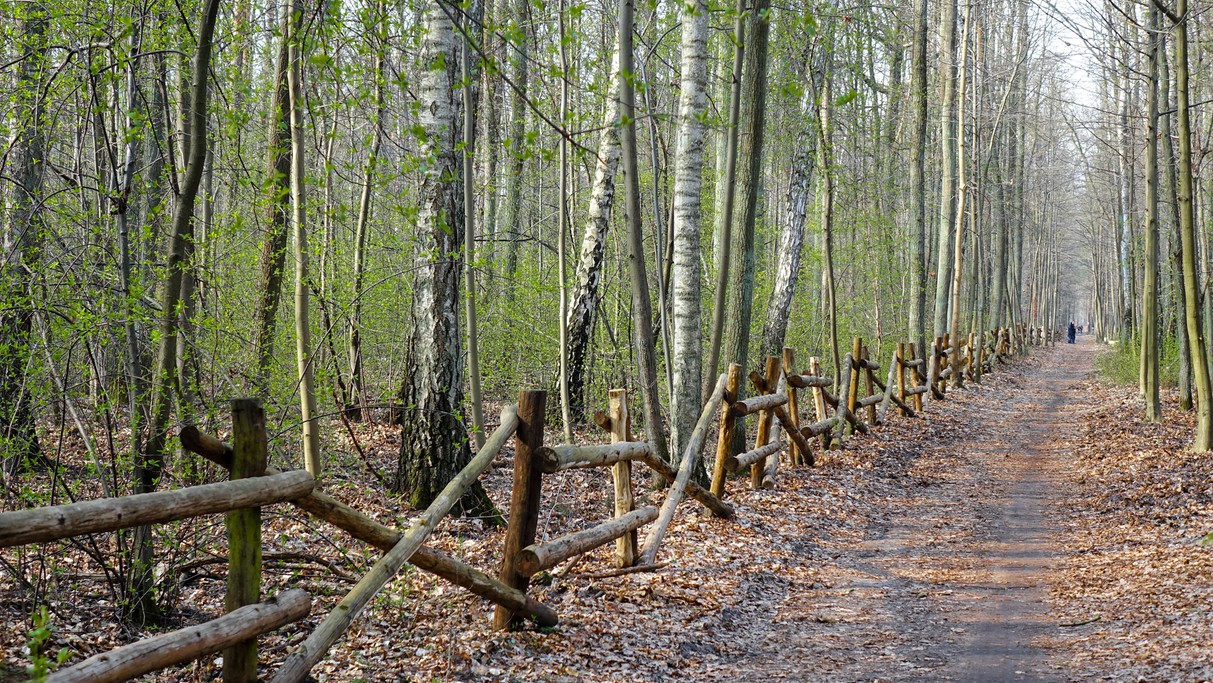 Marzec w obiektywie - zdjęcie 16