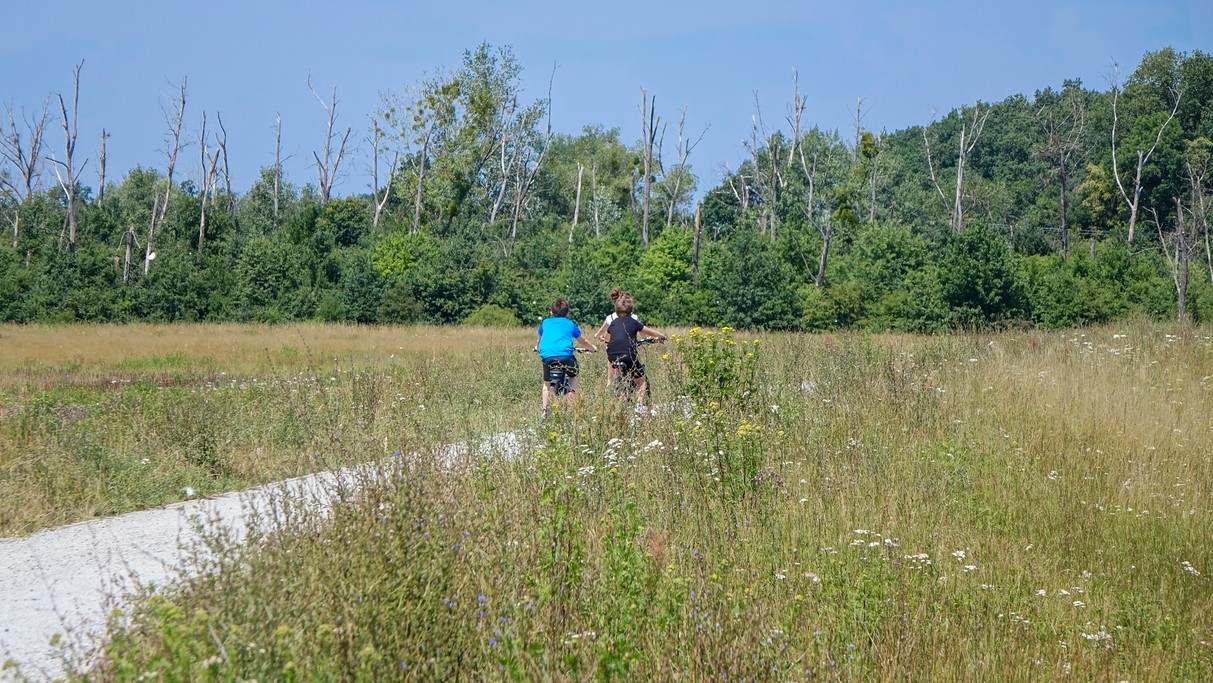 Czerwiec w obiektywie - zdjęcie 54