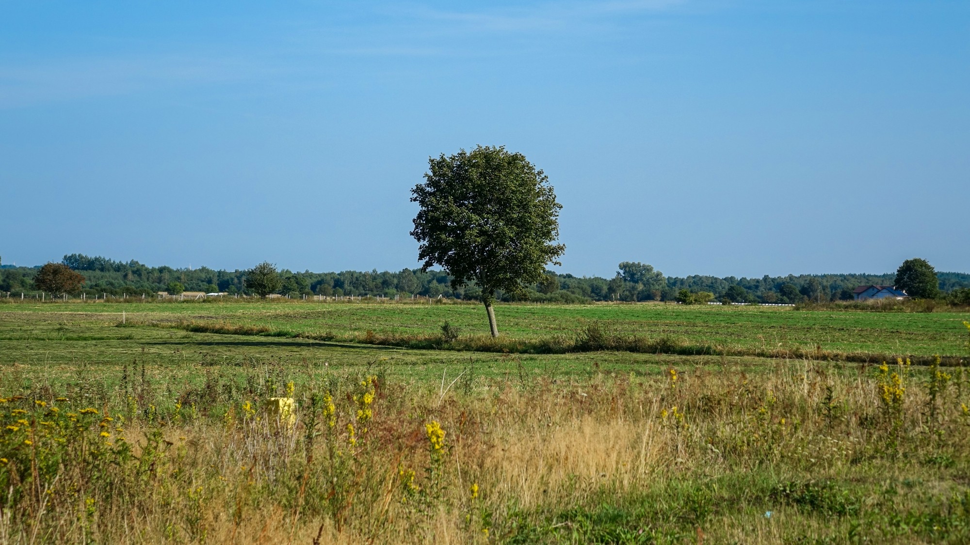 Sierpień w obiektywie - zdjęcie 36