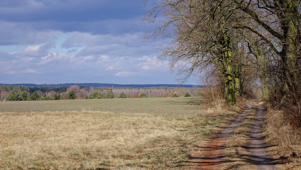 Marzec w obiektywie - zdjęcie 4