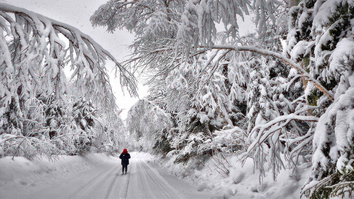 Polska pod śniegiem. Fot. Pixabay.