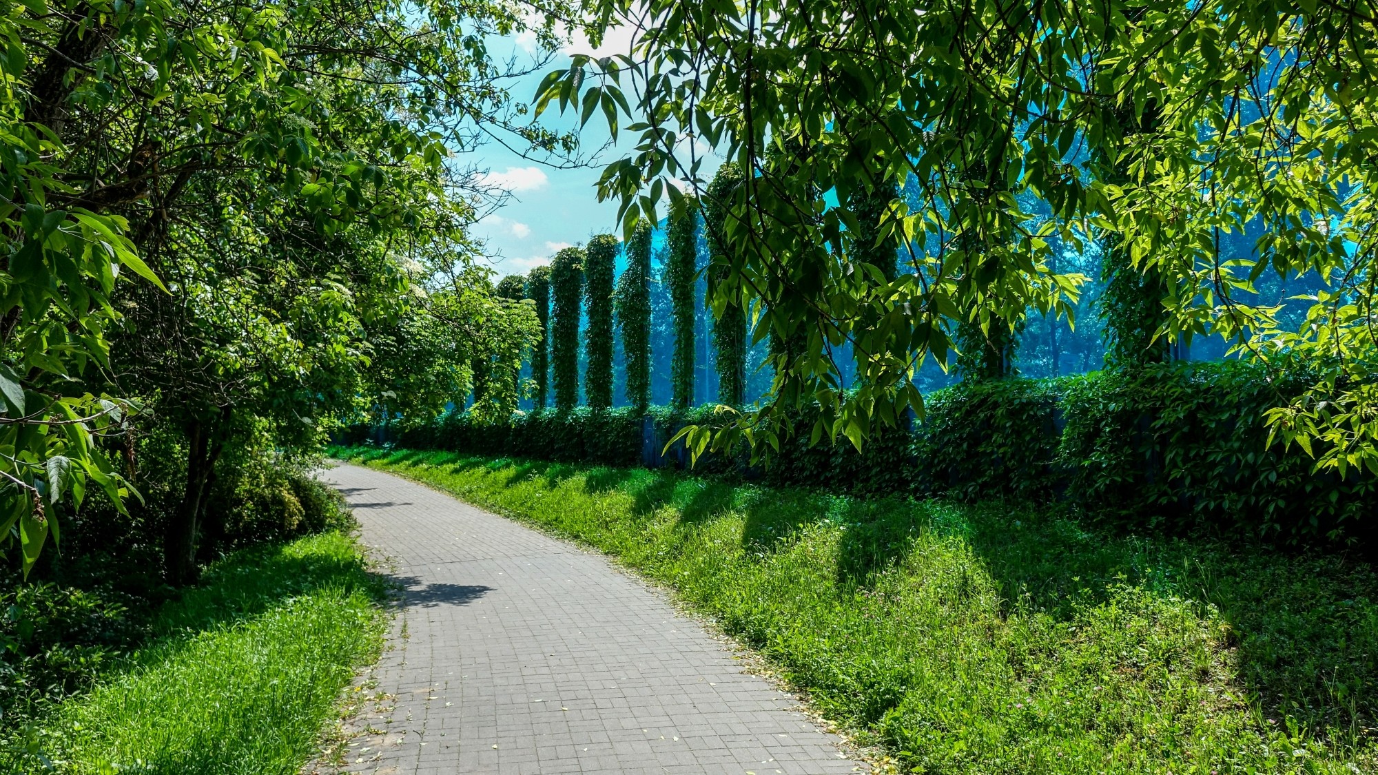 Maj w obiektywie - zdjęcie 37