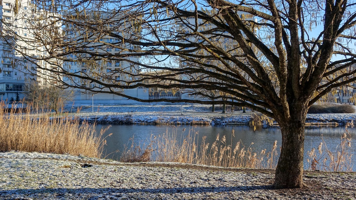 Luty w obiektywie - zdjęcie 32